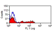 Anti Human Siglec-7 Antibody, clone S7.7 gallery image 1