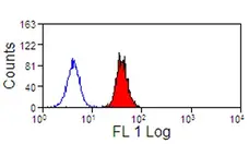 Anti Human Siglec-9 Antibody, clone K8 gallery image 1