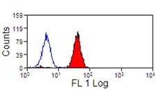 Anti Human Siglec-9 Antibody, clone K8 gallery image 2
