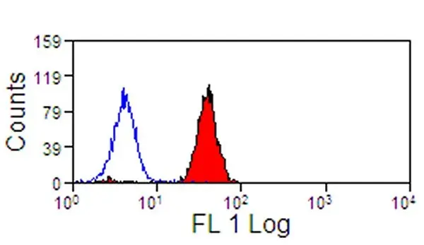 Anti Human Siglec-9 Antibody, clone K8 gallery image 2