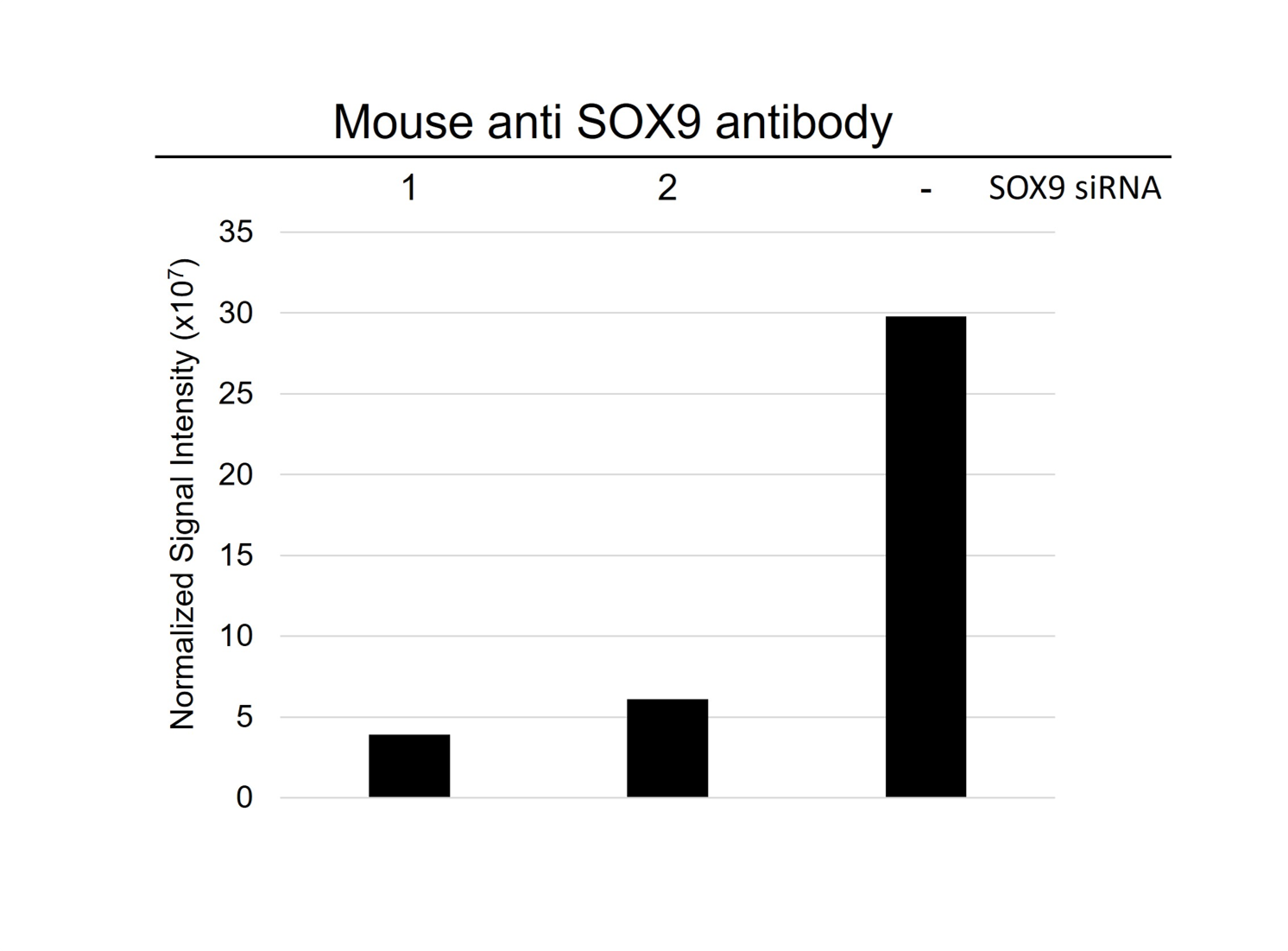 Anti SOX9 Antibody, clone OTI2H10 (PrecisionAb Monoclonal Antibody) gallery image 3