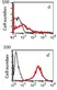 Anti Human Sphingosine 1- Phosphate Receptor 1 Antibody, clone 2B9 thumbnail image 1