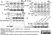 Anti Human Talin Antibody, clone TA205 thumbnail image 2