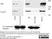 Anti Human Talin Antibody, clone TA205 thumbnail image 3
