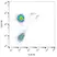 Anti Human TCR Gamma/Delta Antibody, clone B1 thumbnail image 2