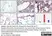 Anti Human TGF Beta Antibody, clone TB21 thumbnail image 4
