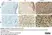 Anti Human TGF Beta Antibody, clone TB21 thumbnail image 5