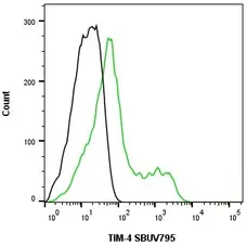 Anti Human TIM-4 Antibody, clone rAB04-3G2 gallery image 1