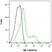 Anti Human TIM-4 Antibody, clone rAB04-3G2 thumbnail image 1
