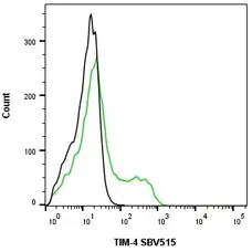 Anti Human TIM-4 Antibody, clone rAB04-3G2 gallery image 2