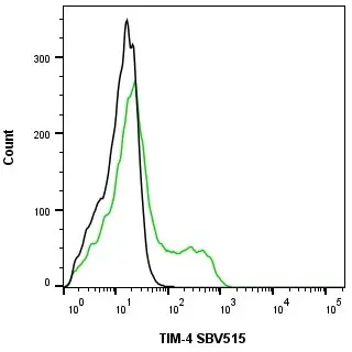 Anti Human TIM-4 Antibody, clone rAB04-3G2 gallery image 2