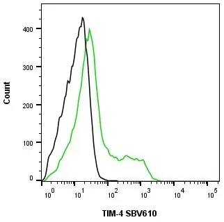 Anti Human TIM-4 Antibody, clone rAB04-3G2 gallery image 3