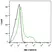 Anti Human TIM-4 Antibody, clone rAB04-3G2 thumbnail image 3