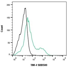 Anti Human TIM-4 Antibody, clone rAB04-3G2 gallery image 4