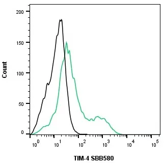 Anti Human TIM-4 Antibody, clone rAB04-3G2 gallery image 4