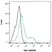 Anti Human TIM-4 Antibody, clone rAB04-3G2 thumbnail image 4