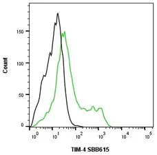 Anti Human TIM-4 Antibody, clone rAB04-3G2 gallery image 5