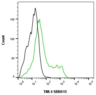 Anti Human TIM-4 Antibody, clone rAB04-3G2 gallery image 5