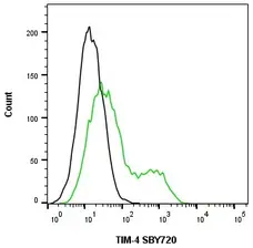 Anti Human TIM-4 Antibody, clone rAB04-3G2 gallery image 6