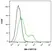 Anti Human TIM-4 Antibody, clone rAB04-3G2 thumbnail image 6