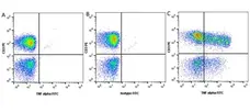 Anti Human TNF Alpha Antibody, clone M22-1E1 gallery image 1