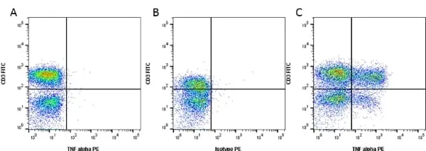Anti Human TNF Alpha Antibody, clone MP9-20A4 gallery image 2