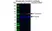 Anti Transferrin Antibody, clone 14C10 (PrecisionAb Monoclonal Antibody) thumbnail image 2