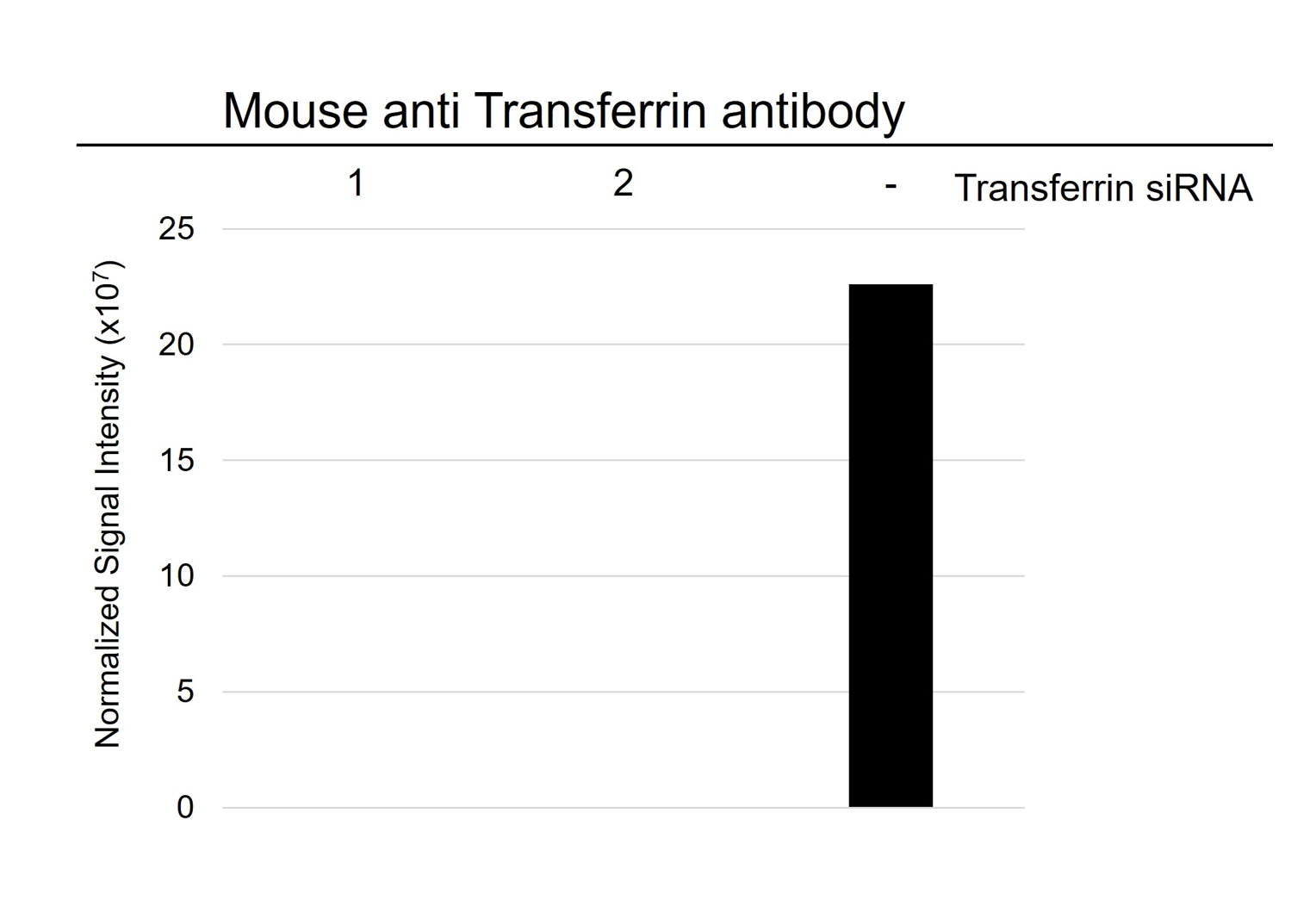 Anti Transferrin Antibody, clone 14C10 (PrecisionAb Monoclonal Antibody) gallery image 3