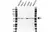 Anti Tubulin Beta Chain Antibody, clone 87CT59.3.7 (PrecisionAb Monoclonal Antibody) thumbnail image 1