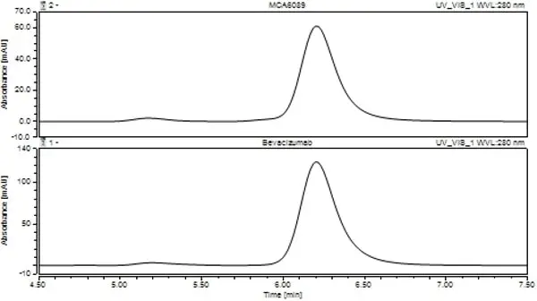 Anti VEGF (Bevacizumab Biosimilar) Antibody, clone Bevacizumab gallery image 2
