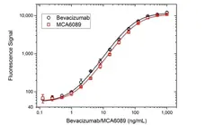 Anti VEGF (Bevacizumab Biosimilar) Antibody, clone Bevacizumab gallery image 3