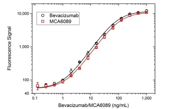 Anti VEGF (Bevacizumab Biosimilar) Antibody, clone Bevacizumab gallery image 3