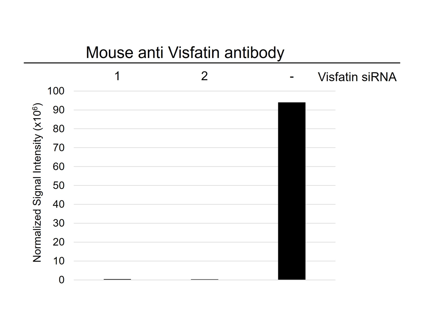 Anti Visfatin Antibody, clone 4D5 (PrecisionAb Monoclonal Antibody) gallery image 3