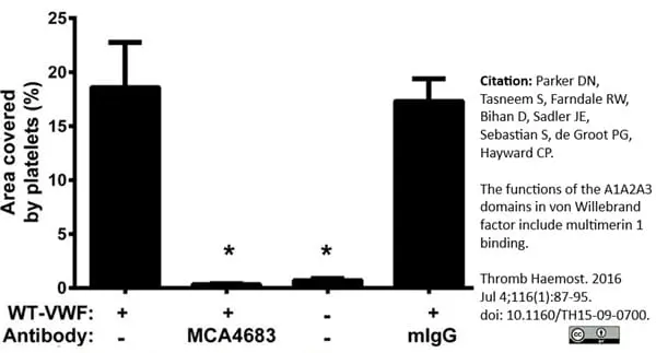 Anti Human von Willebrand Factor Antibody, clone RFF-VIII R/2 gallery image 2
