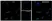 Anti YY1 Antibody, clone CD02/2B2 (PrecisionAb Monoclonal Antibody) thumbnail image 3