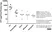 Anti Huntingtin Antibody, clone HDB4E10 thumbnail image 6
