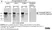 Anti Huntingtin Antibody, clone HDB4E10 thumbnail image 7