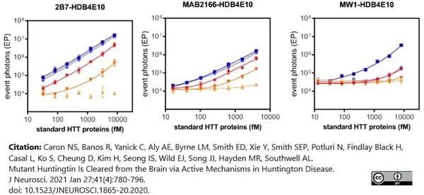 Anti Huntingtin Antibody, clone HDB4E10 gallery image 9