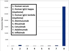 Anti Infliximab Antibody, clone AbD20436 gallery image 1