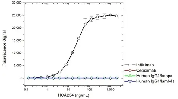 Anti Infliximab Antibody, clone AbD20436 gallery image 2