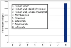 Anti Infliximab Antibody, clone AbD20436_hIgG1 gallery image 1