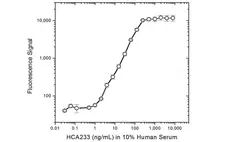 Anti Infliximab Antibody, clone AbD20436_hIgG1 gallery image 4