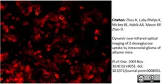 Anti Luciferase Antibody, clone LUC-Y gallery image 1