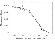 Anti Ipilimumab Antibody, clone AbD34283ia gallery image 3
