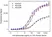 Anti Ipilimumab Antibody, clone AbD34283ia thumbnail image 4