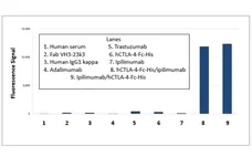 Anti Ipilimumab (Drug/Target Complex) Antibody, clone AbD34294 gallery image 1