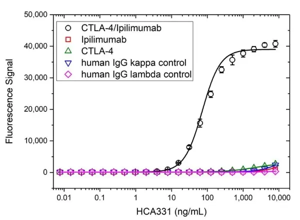 Anti Ipilimumab (Drug/Target Complex) Antibody, clone AbD34294 gallery image 2