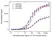 Anti Ipilimumab Antibody, clone AbD34429ia thumbnail image 5