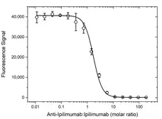 Anti Ipilimumab Antibody, clone AbD34433 gallery image 4