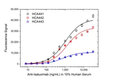Anti Isatuximab Antibody, clone AbD64591ia gallery image 3